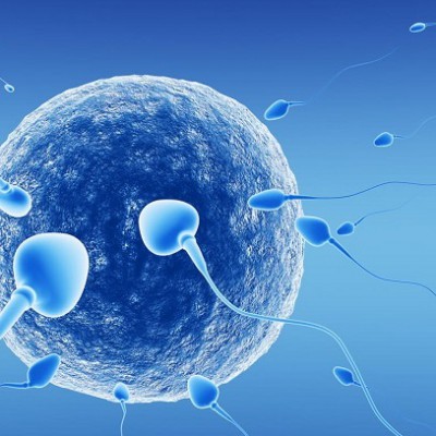Spermogram and MAR test